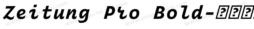 Zeitung Pro Bold字体转换